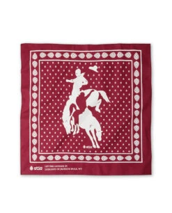 Stio® Rodeo Bandana